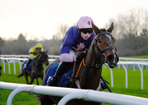 The Cistercian, wins by 12 lengths on his UK debut at Leicester