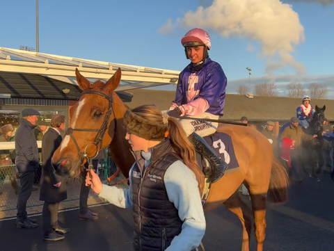 Toonagh Warrior, winner of two races, second on six occasions